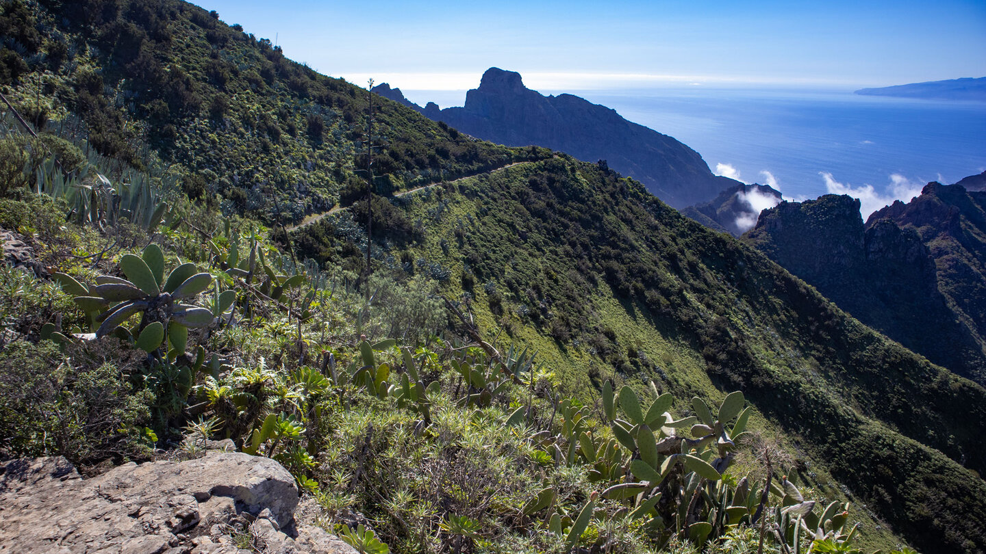 Wanderung auf dem PR-TF 59 Richtung Cruz de Hilda