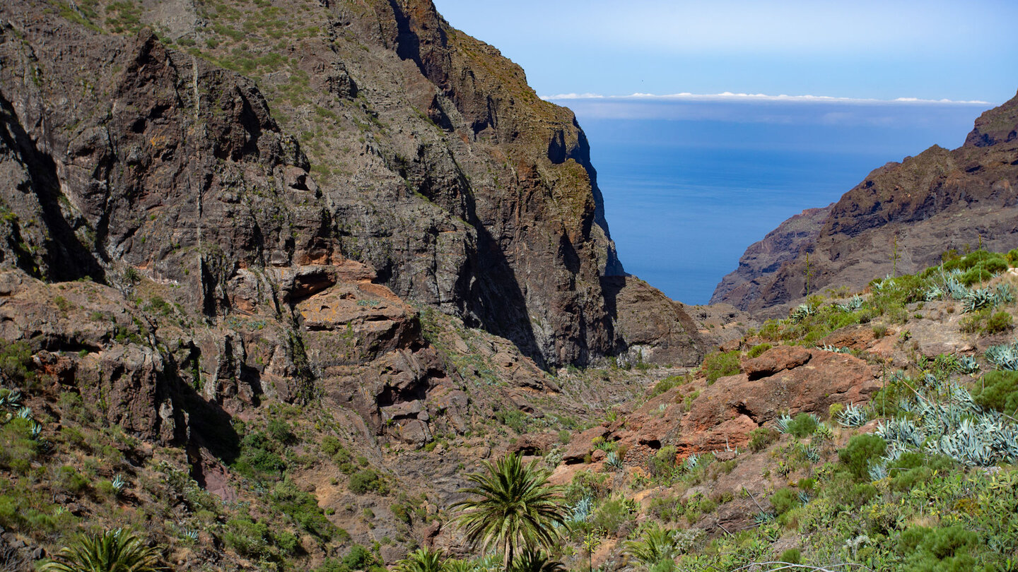 Blick auf die Schluchten des Teno Gebirges auf der Wanderung nach Masca