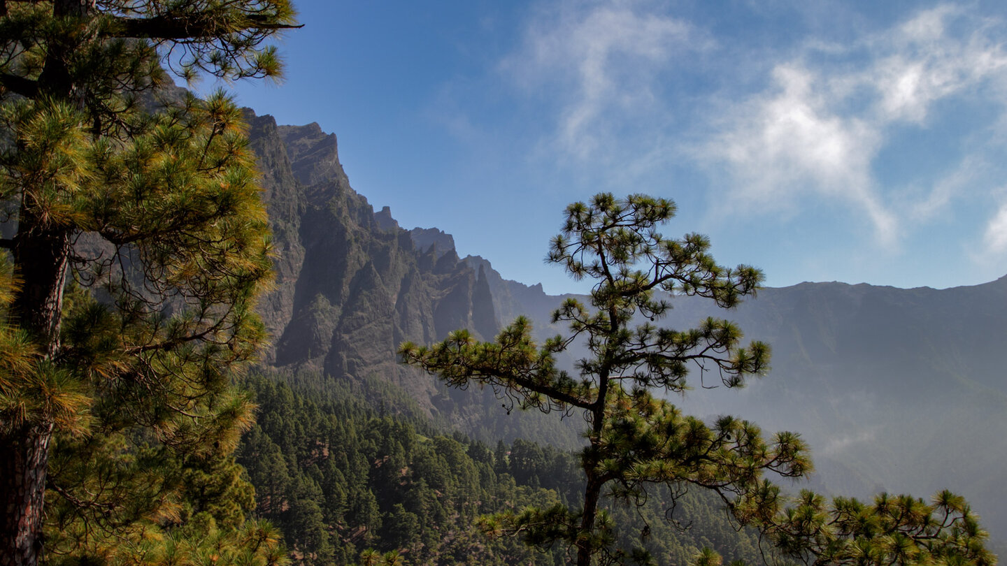 Blick vom Mirador de Los Brecitos auf die Agujeritos genannten Felsspitzen auf La Palma Blick von Los Brecitos auf die Felsspitzen Agujeritos auf La Palma