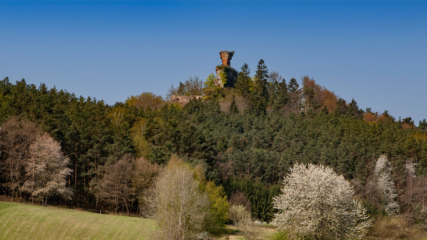 Wanderung zur Ruine Drachenfels im Wasgau.