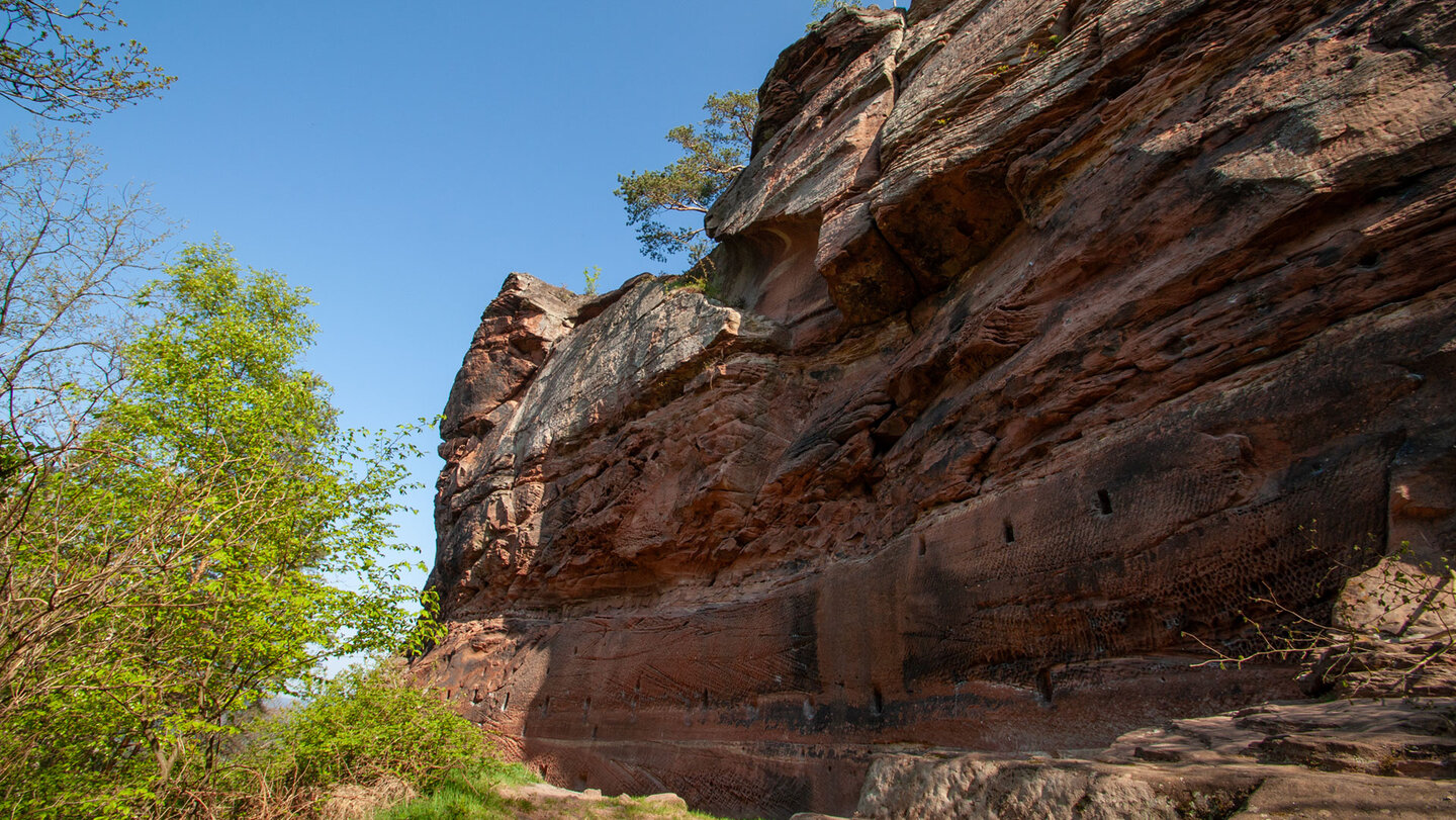Der gewaltige Burgfels der Drachenfels.