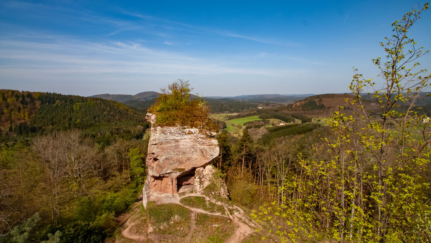 Die massive Buntsandsteinformation des Westfels der Ruine Drachenfels