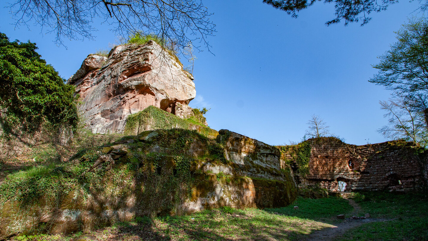 Halsgraben und Westfelsen der Ruine Drachenfels.