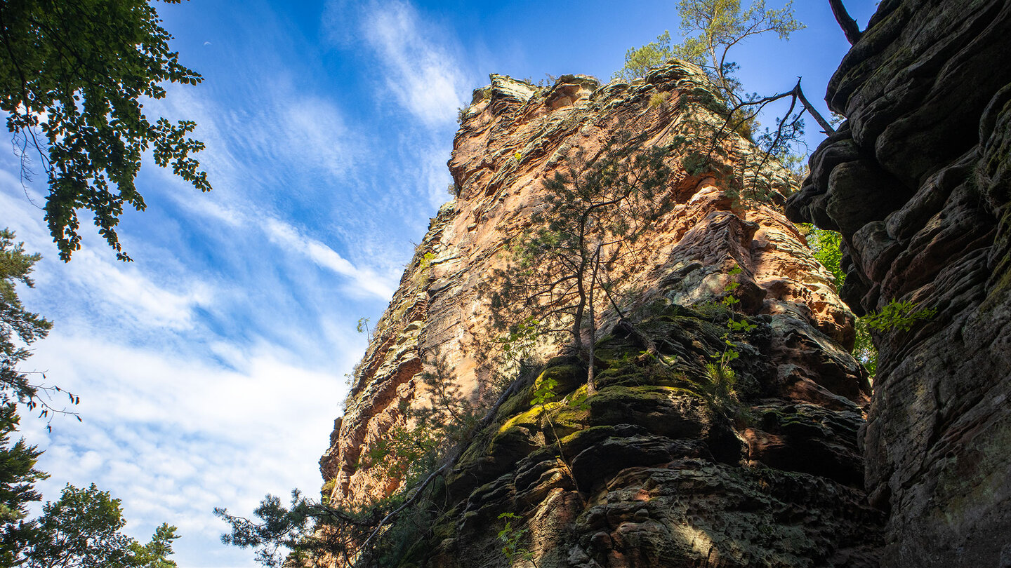 Sonnenbeschienener Felsturm an den Fladensteinen bei Bundenthal