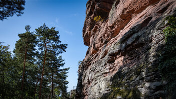 der Asselstein ist ein Buntsandstein-Felsenriff im Pfälzerwald
