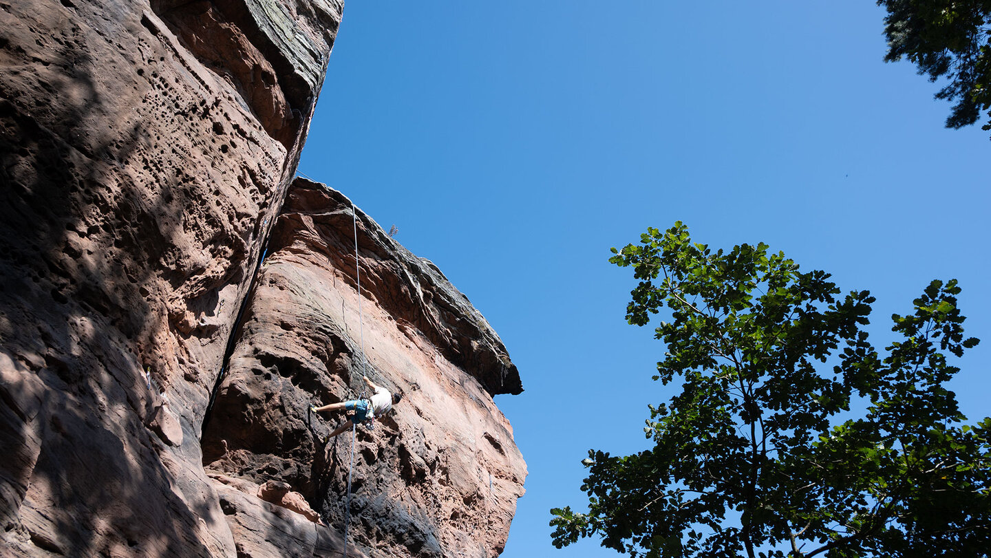der Kletterfelsen Asselstein liegt östlich von Annweiler am Trifels der Kletterfelsen Asselstein bei Annweiler am Trifels