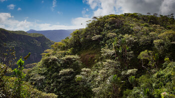 Schlucht auf dem Weg zum Wasserfall Cascade Bouton am Paille en Queue Trail