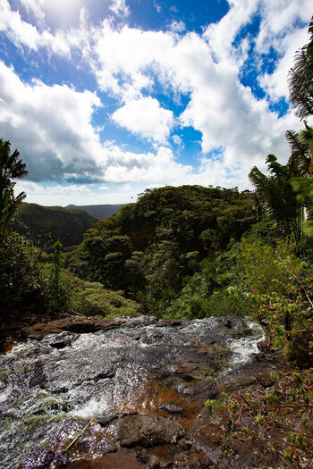 Am Wasserfall Cascade Bouton am Paille en Queue Trail auf Mauritius