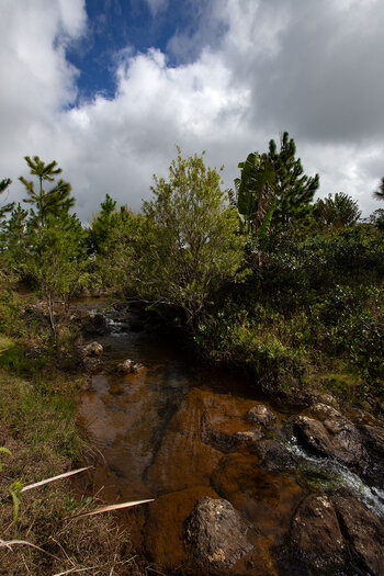 Becken am Wasserfall Cascade Bouton - Mauritius
