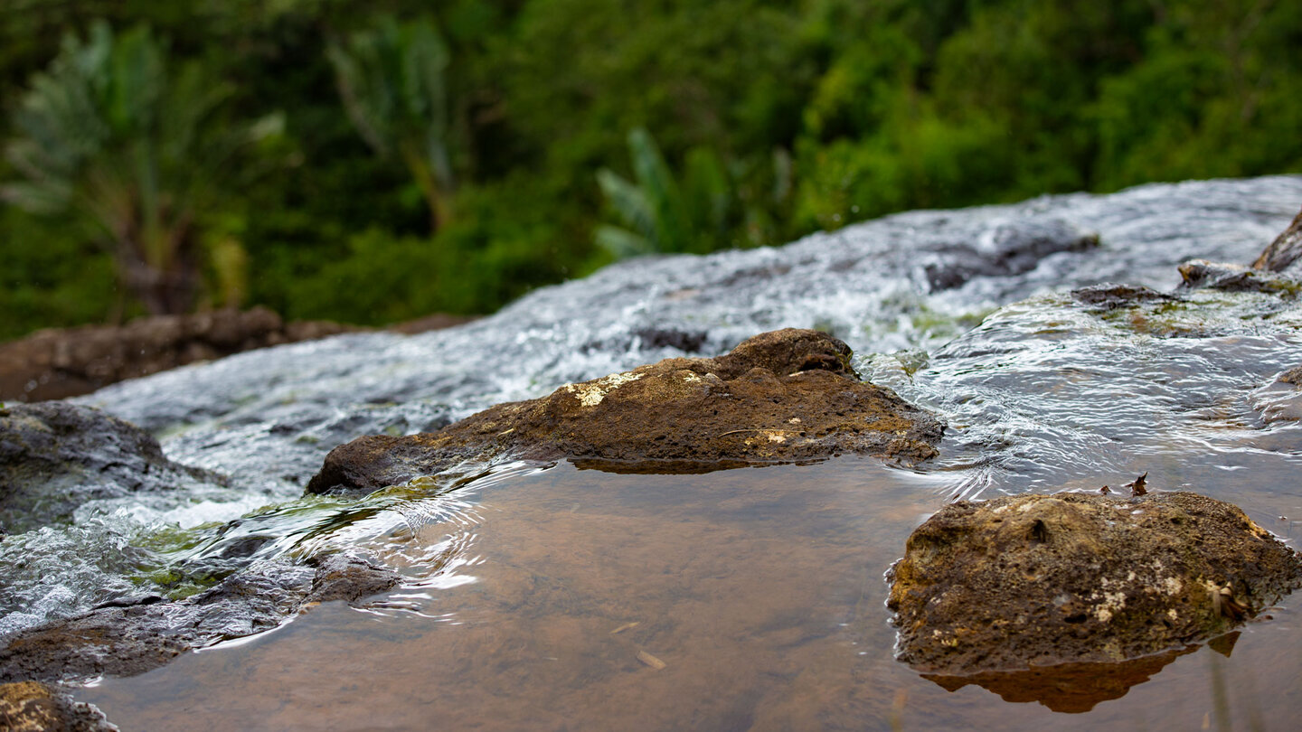 Cascade Bouton auf Mauritius
