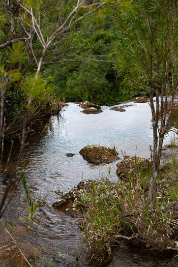 Am Weg von der Cascade Bouton auf Mauritius