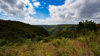 Wandern auf dem Paille en Queue Trail auf Mauritius
