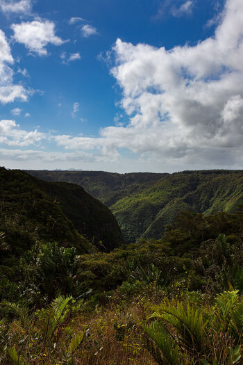 Aussicht am Wanderweg auf dem Paille en Queue Trail auf Mauritius
