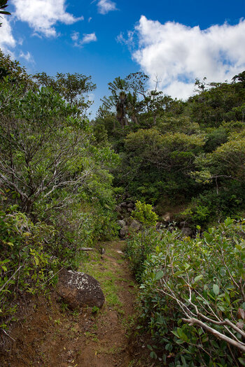 Wanderung auf Pfaden - Paille en Queue Trail