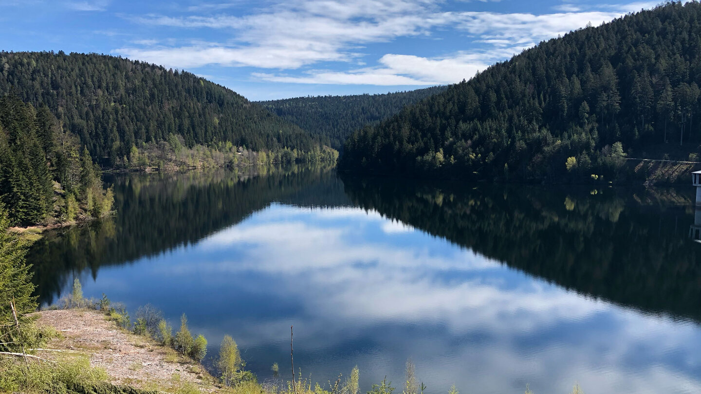 Talsperre Kleine Kinzig mit bewaldeten Schwarzwaldhängen