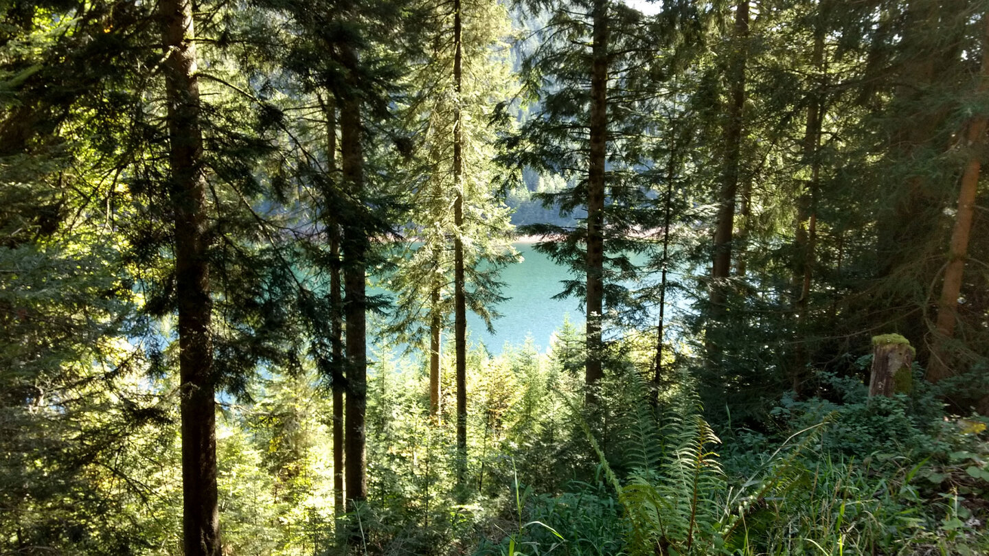 Türkisgrünes Wasser der Talsperre Kleine Kinzig