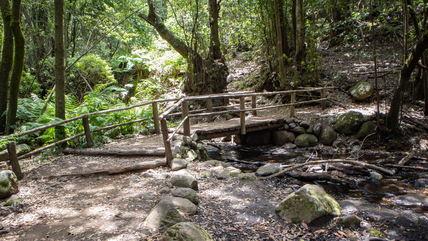 Holzbrücken führen über den Bauchlauf El Cedro