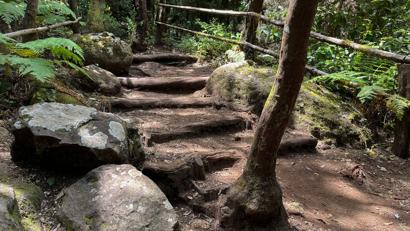 der Wanderweg Ruta 18 im Barranco del Cedro