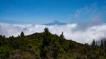 Blick vom Alto de Garajonay auf Teneriffa