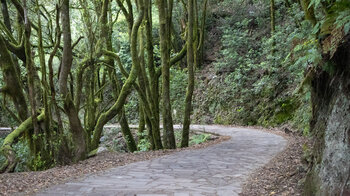 Wanderweg am Reventón Oscuro