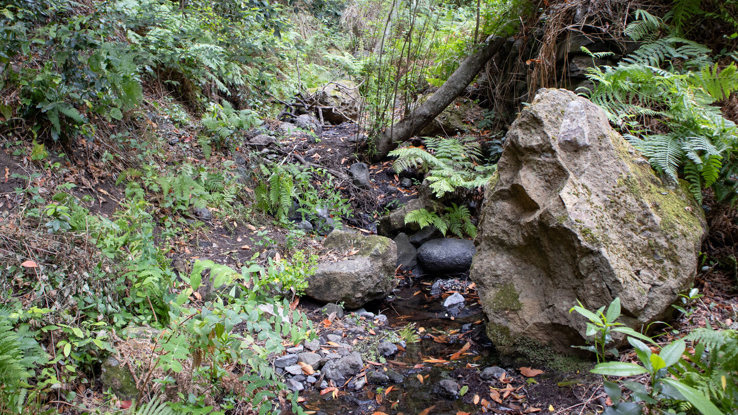 Bachlauf im  Barranco del Rejo