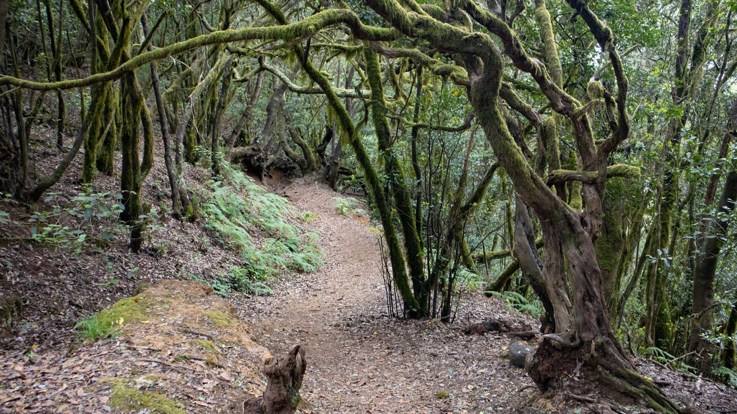 Wanderweg entlang der Ruta 11 El Rejo