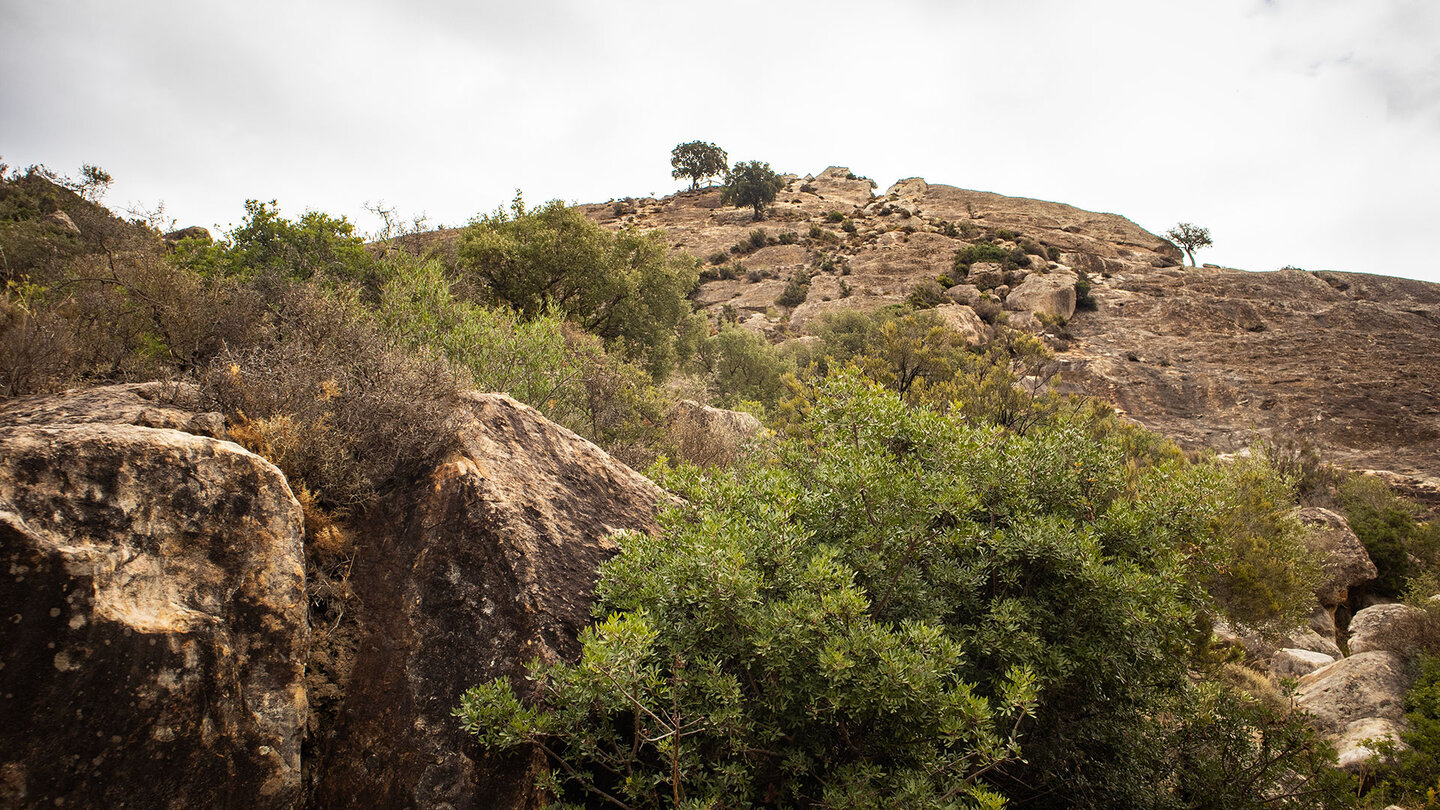 steile Felshänge am Wanderweg bei Jimena de la Frontera