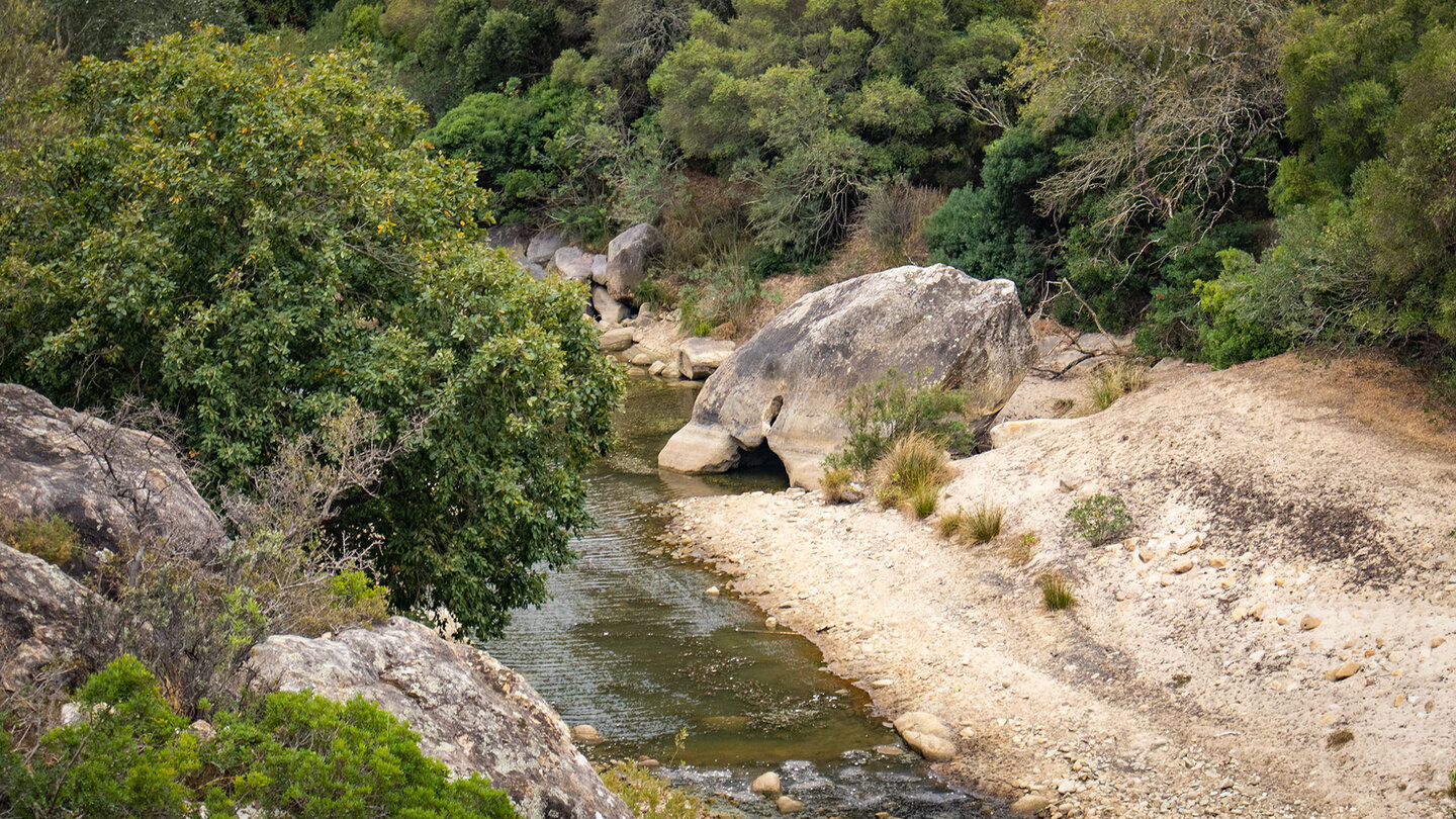 Río Hozgarganta – Naturparadies im Naturpark Los Alcornocales