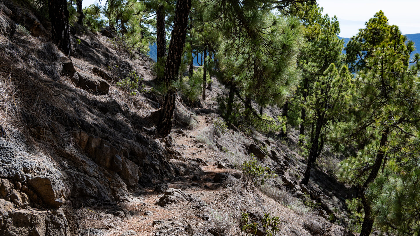 Wanderpfade am Pico Bejenado