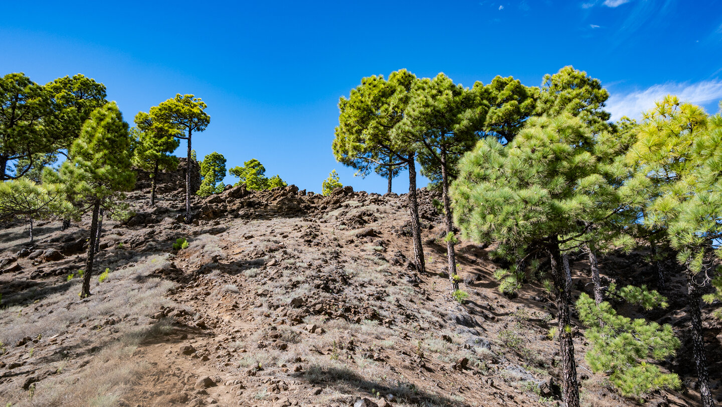 Wanderweg Richtung El Rodeo
