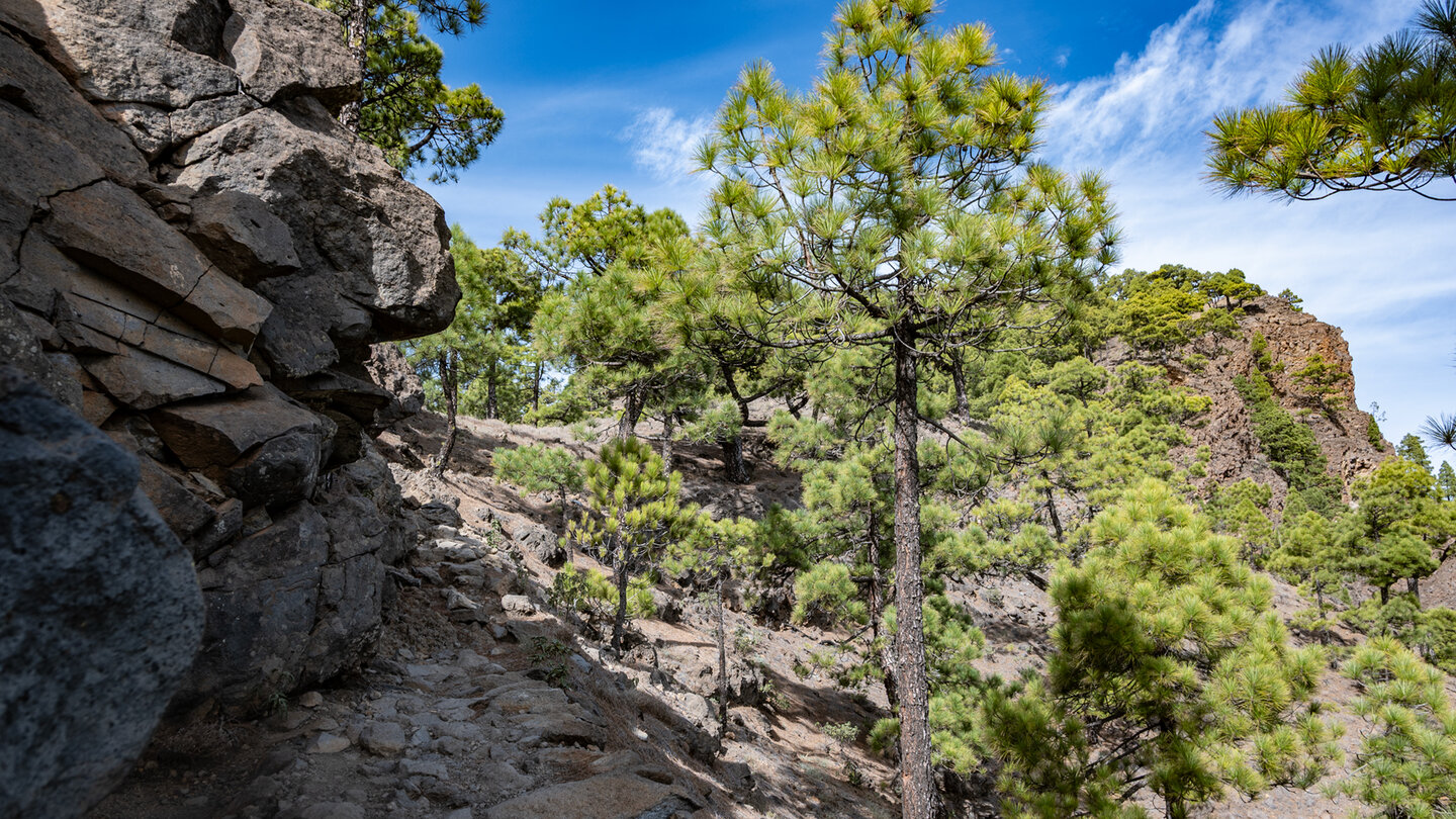 Felsformationen am Wanderweg