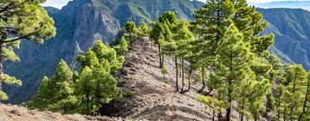 Kammroute am Pico Bejenado