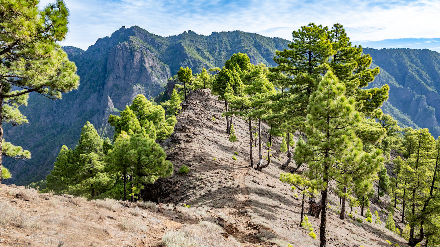 Kammroute am Pico Bejenado
