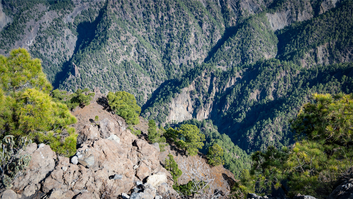 Tiefblick in die Caldera de Taburiente