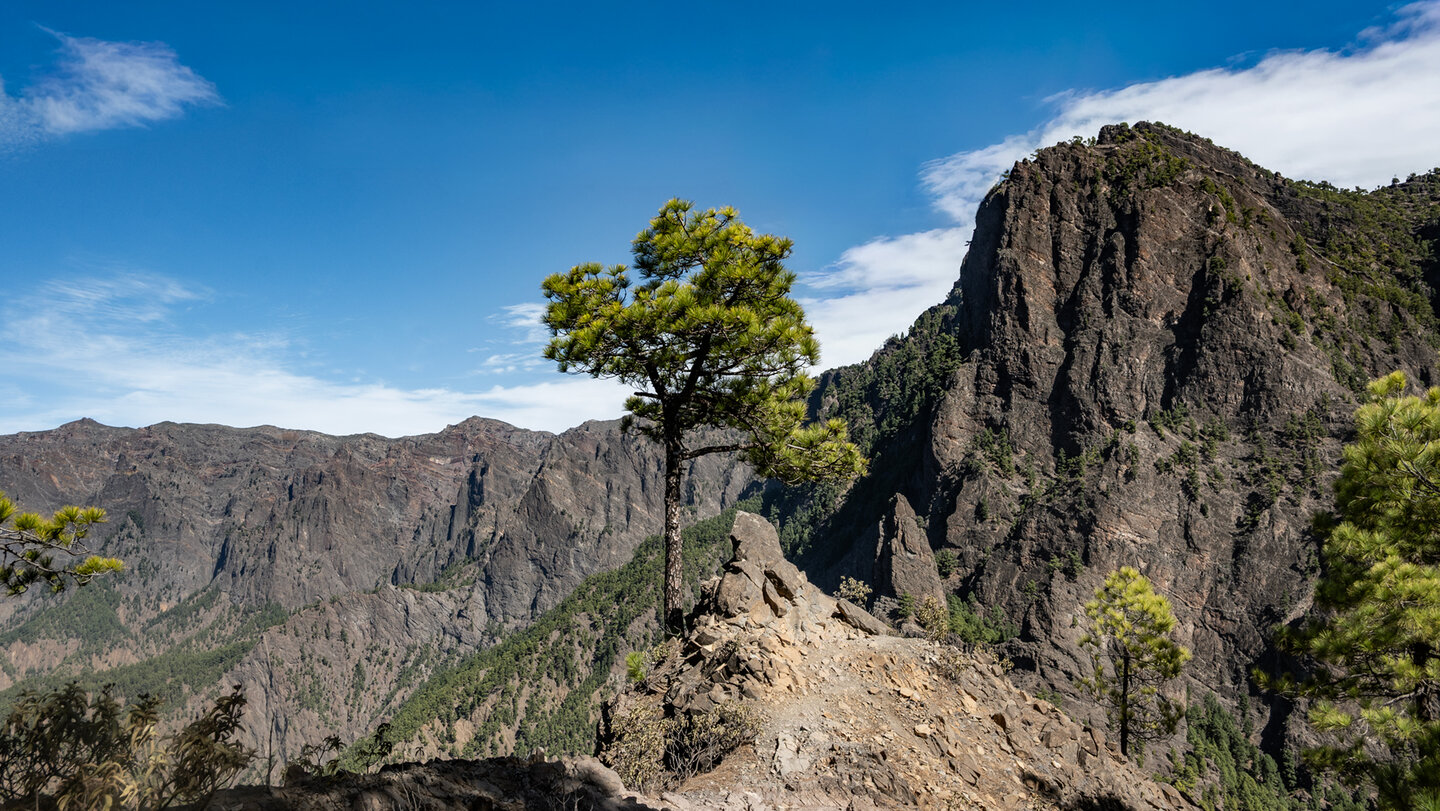 am Roque de los Cuervos