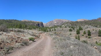 Aufwanderung über die Piste zum Barranco del Río