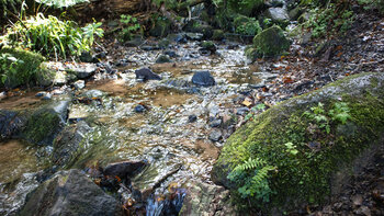 Bachquerung am Griesbacher Wasserfall
