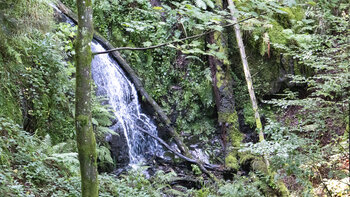die Kaskaden des Griesbacher Wasserfalls im Schwarzwald