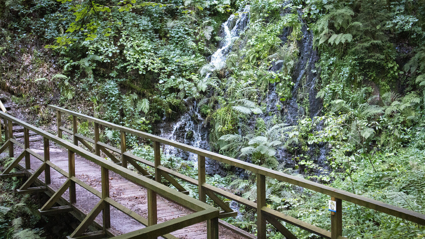 Brücke führt an dem Griesbacher Wasserfall vorbei