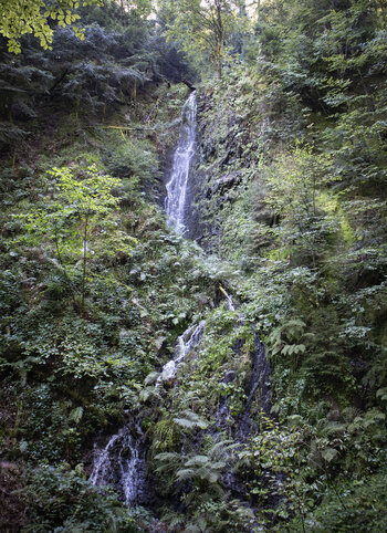 Blick auf den Griesbacher Wasserfall