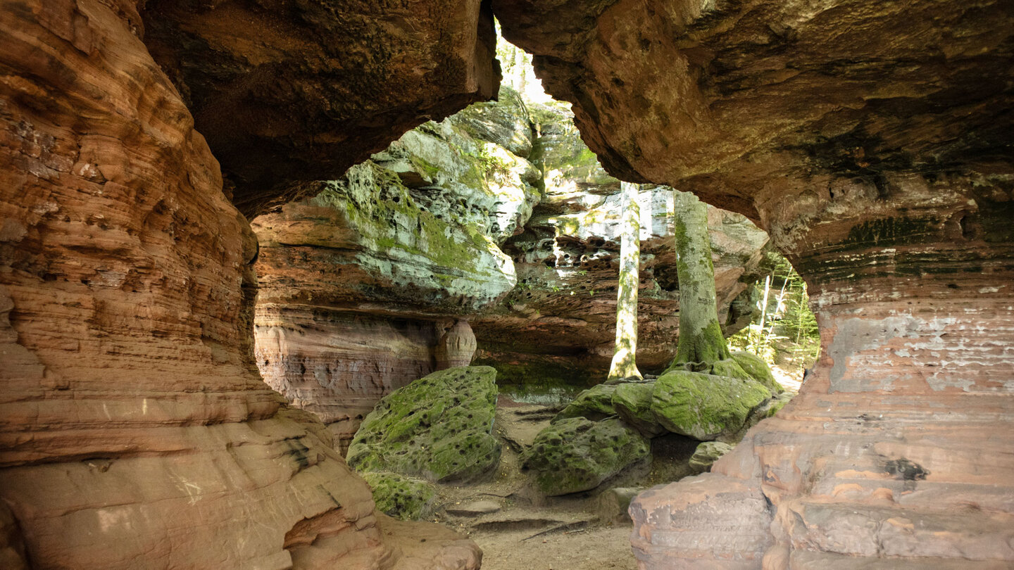 Aushöhlungen um Buntsandsteinband der Altschlossfelsen