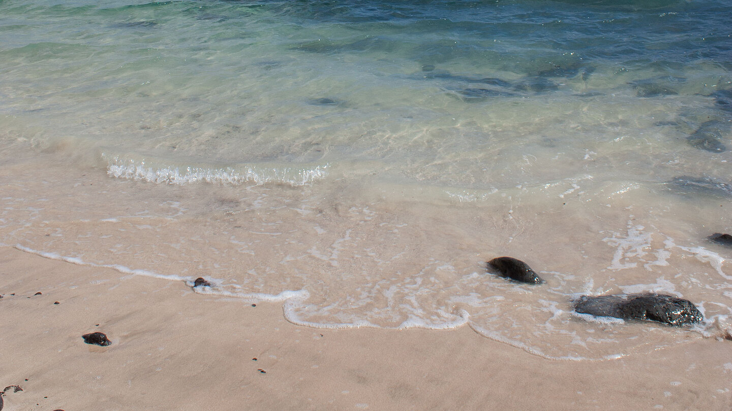 heller Sand an der Playa del Salado
