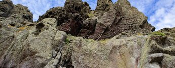 Flechten besiedeln Felsformationen am Wandersteig