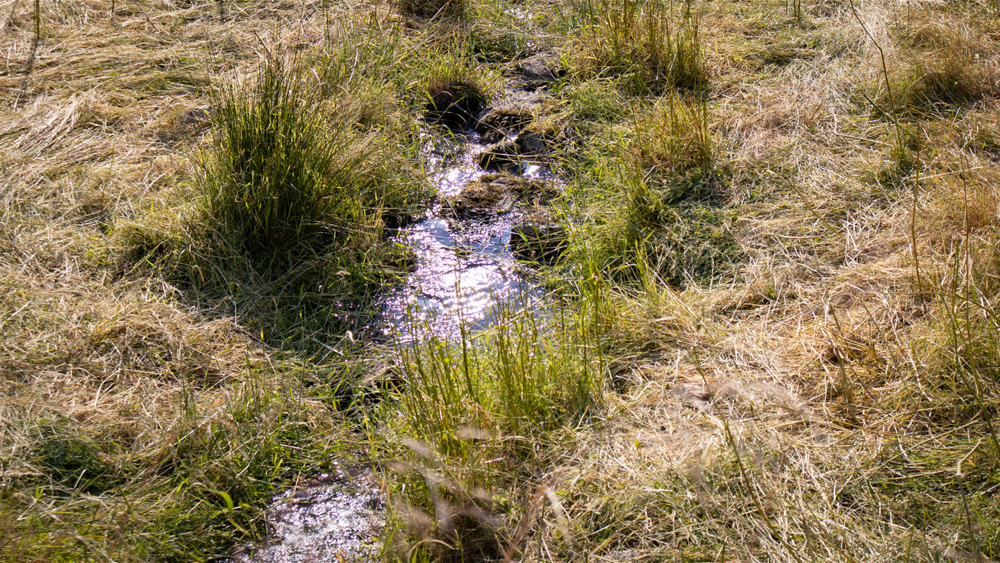Wiesenbach oberhalb Gausbach