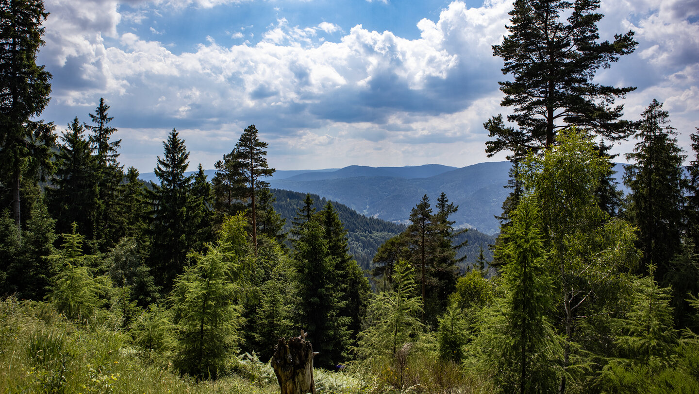 Schwarzwaldpanorama über dem Murgtal