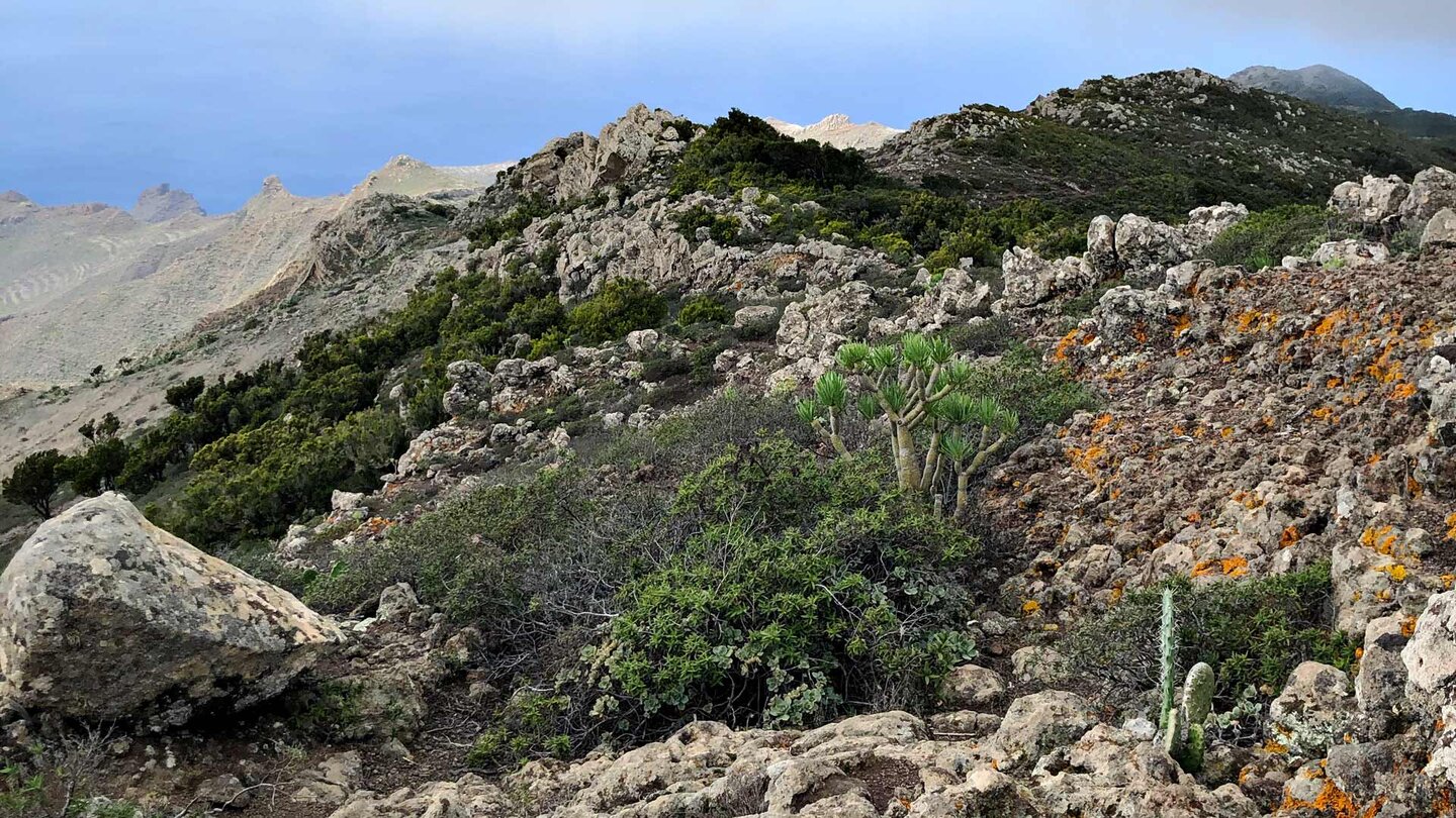 Gratwanderweg entlang der Bergkette mit Blick auf den Ozean