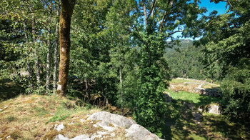 die Ruinen der Burg Wildenstein
