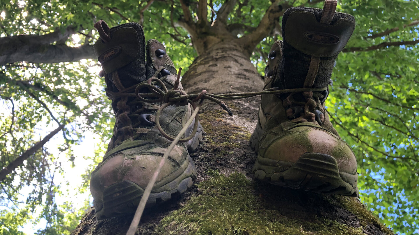 ein paar aufgehängte Wanderschuhe an einem Baum Paar aufgehängter Wanderschuhe an einem Baum