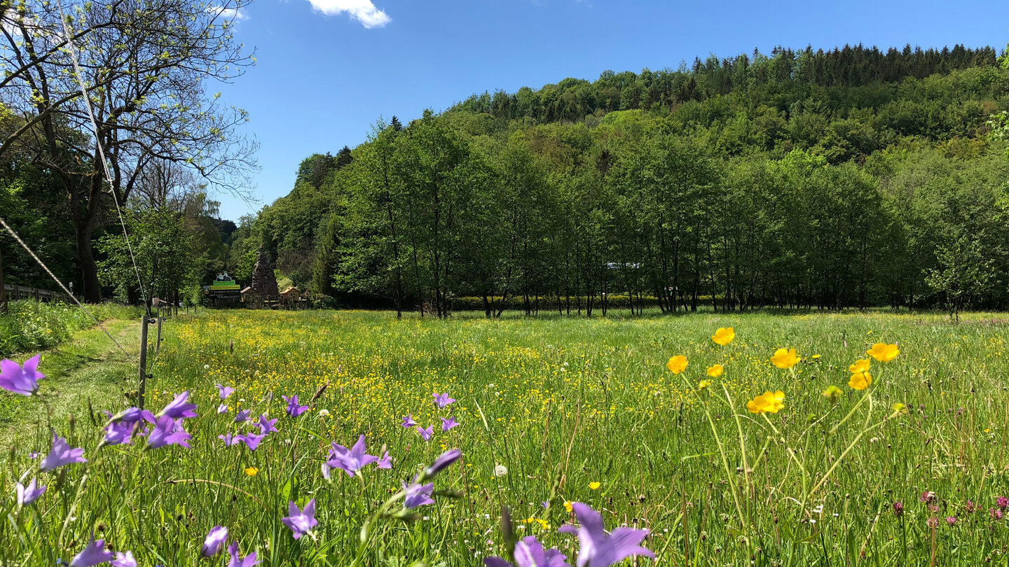 die Blumenwiesen im Trusetal Blumenwiesen im Trusetal
