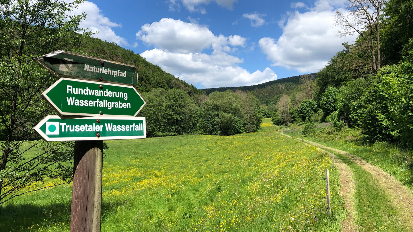 Wanderweg im Trusetal Wanderweg im Trusetal